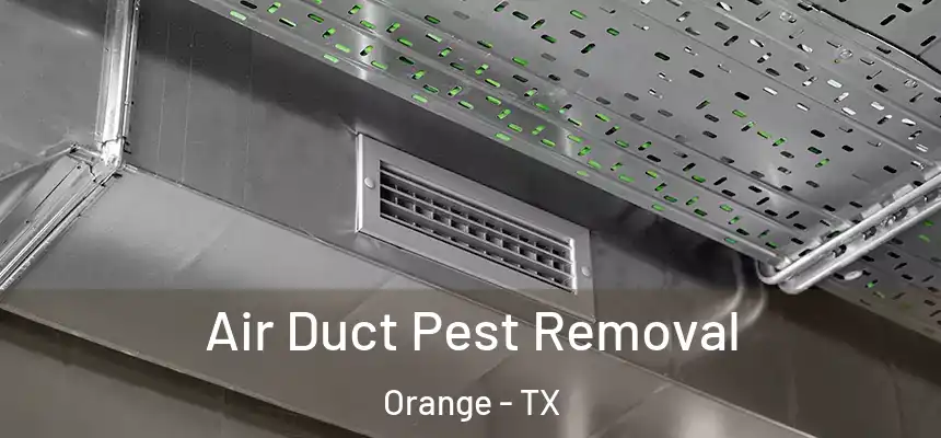  Air Duct Pest Removal Orange - TX