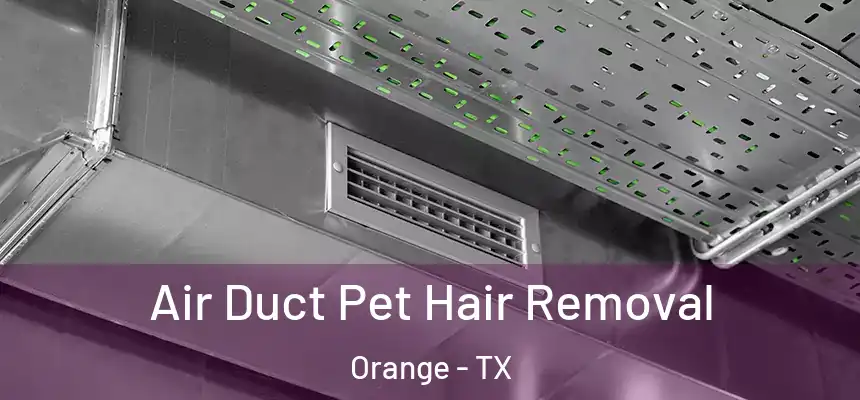  Air Duct Pet Hair Removal Orange - TX