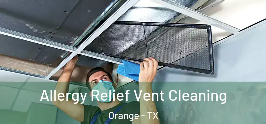  Allergy Relief Vent Cleaning Orange - TX