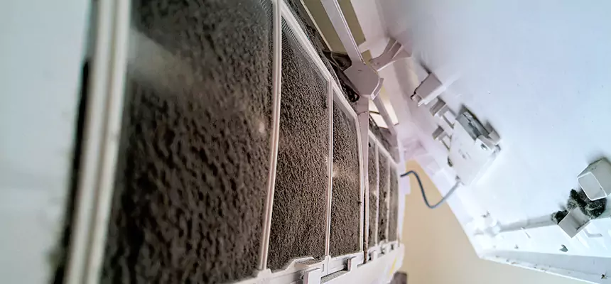 Preventive Air Duct Bacteria Removal in Orange