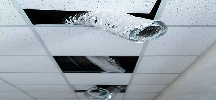 Our Air Duct Pet Hair Removal Services in Orange, TX