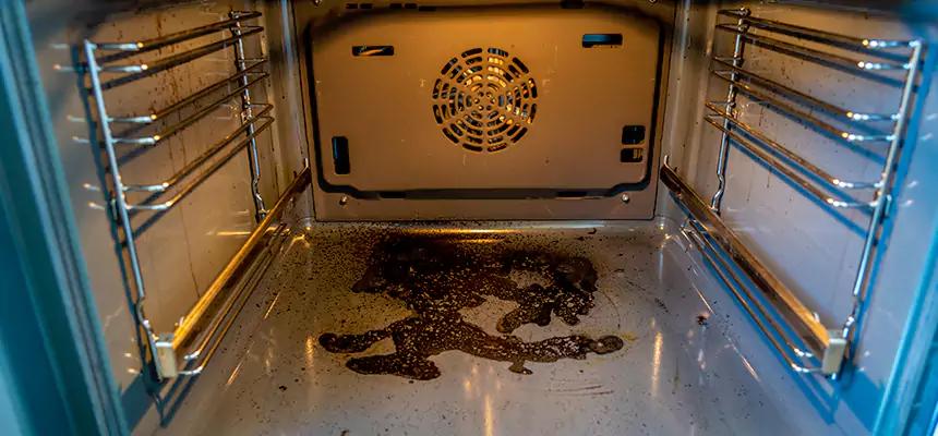 Our Dryer Vent Mold Cleaning Services in Orange, TX