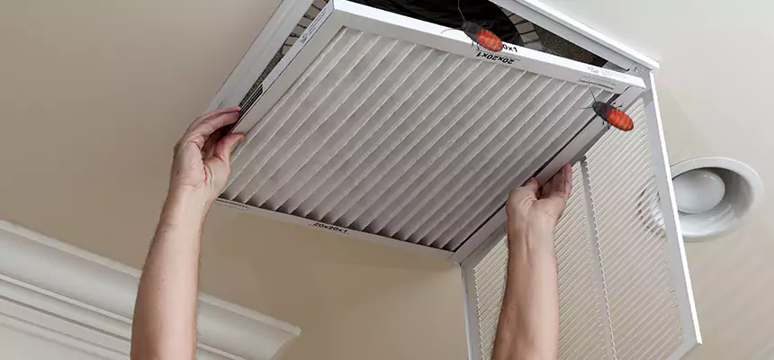 Our Insect Removal from Air Ducts Services in Orange, TX