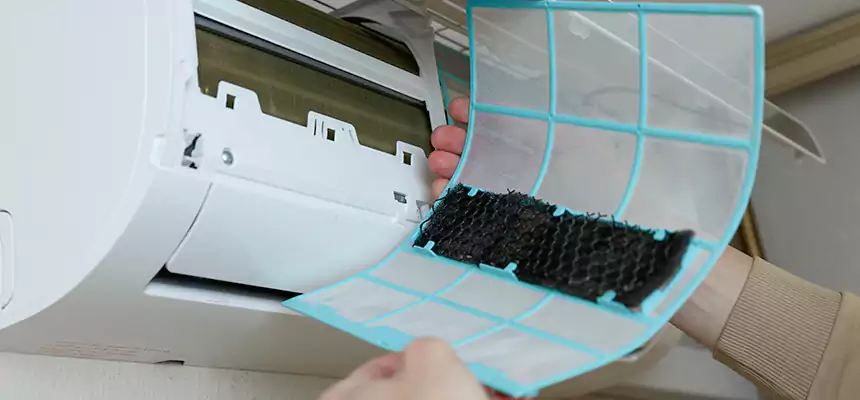 Gentle Ductwork Odor-Control Pet Dander Duct Cleaning in Orange, TX