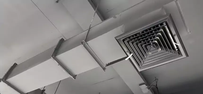 Our Rodent Droppings In Vents Services in Orange, TX