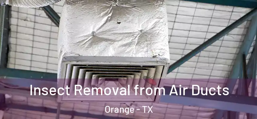  Insect Removal from Air Ducts Orange - TX