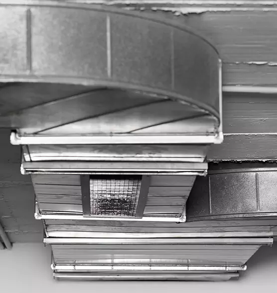 Professional Air Duct Pest Removal in Orange, TX