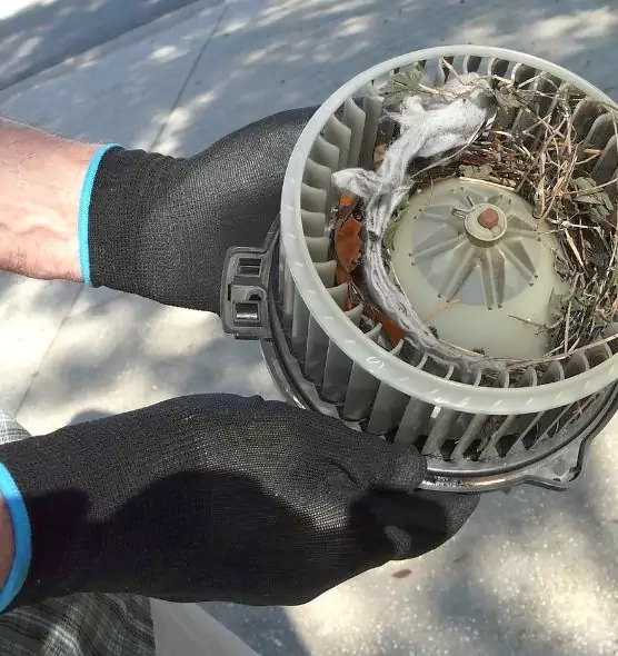 About Air Duct Rat Removal in Orange, TX