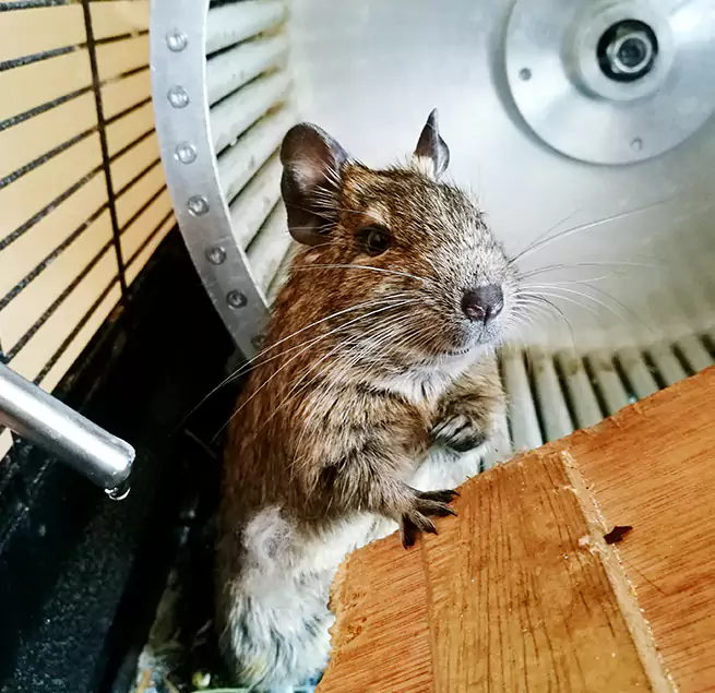 Why Homeowners & Businesses Trust Us Orange, TX?